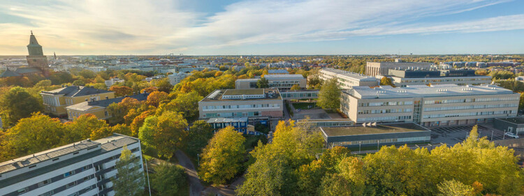 University of Turku